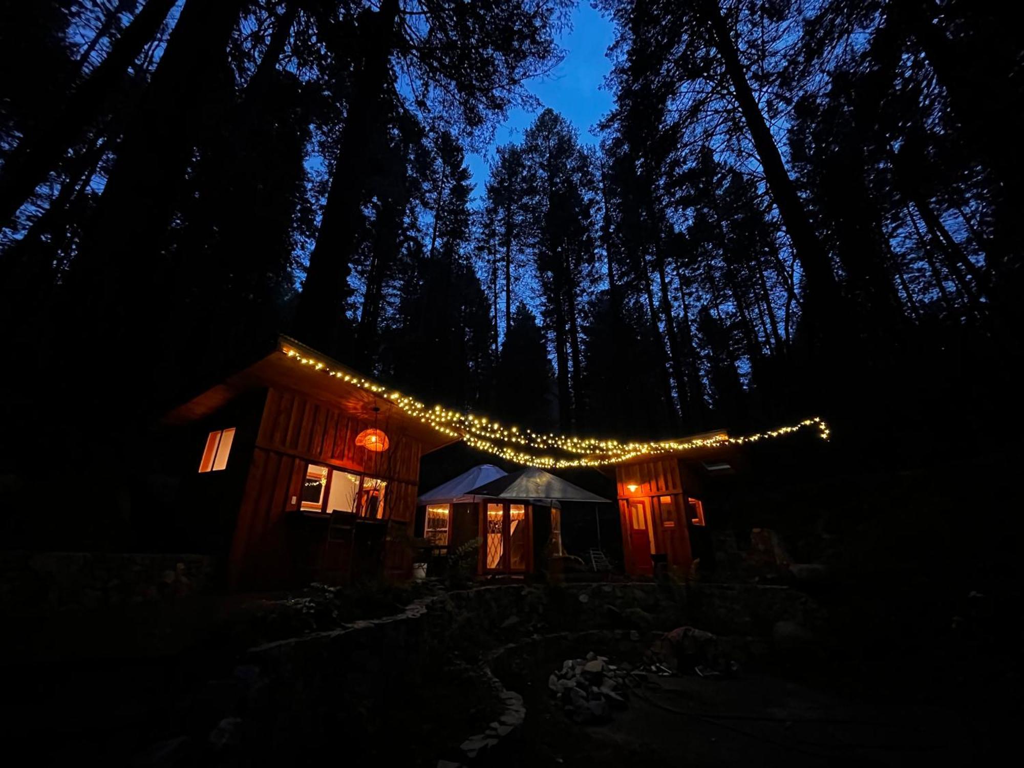 Отель Magical Yurt In The Woods - 2 Miles From Town Невада-Сити Экстерьер фото